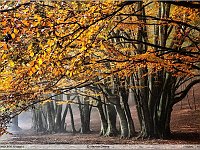 autunno 2011 (4)